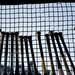 Baseball bats lean against netting on Monday, April 22. Daniel Brenner I AnnArbor.com